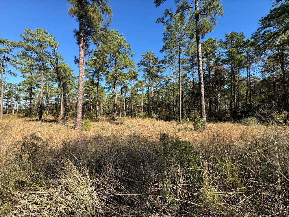 65 Private Road 6026 Brookeland, TX 75931