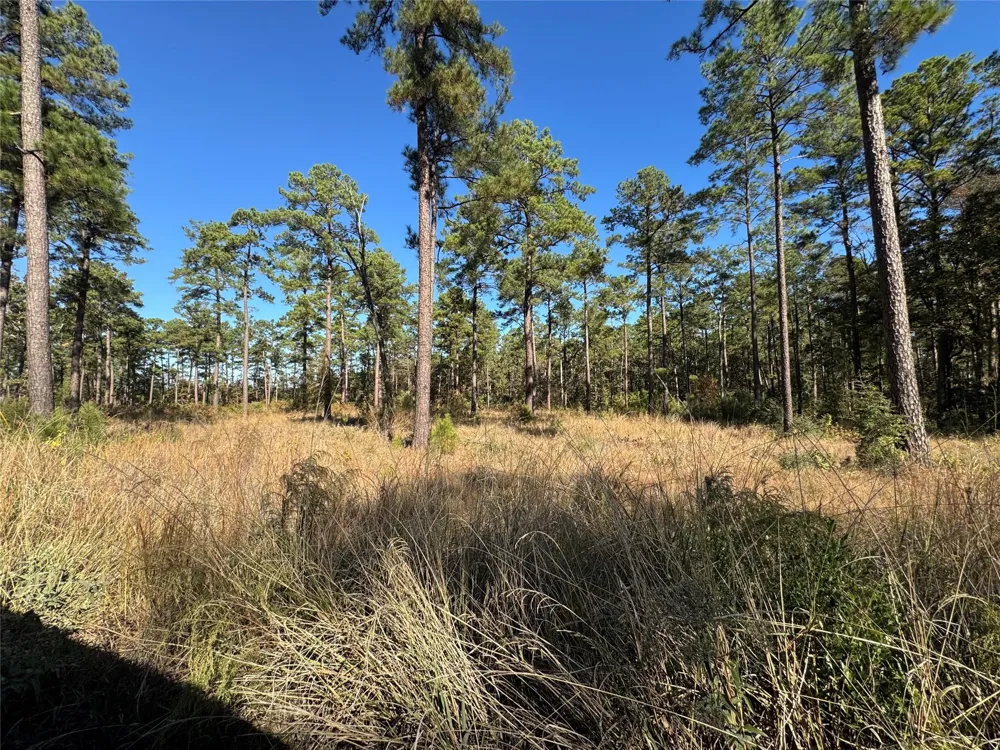 65 Private Road 6026 Brookeland, TX 75931