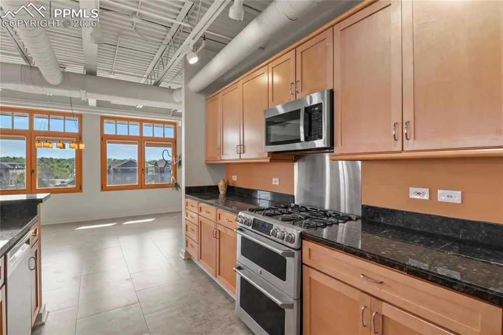 201 E Las Animas Street #313 Colorado Springs, CO 80903