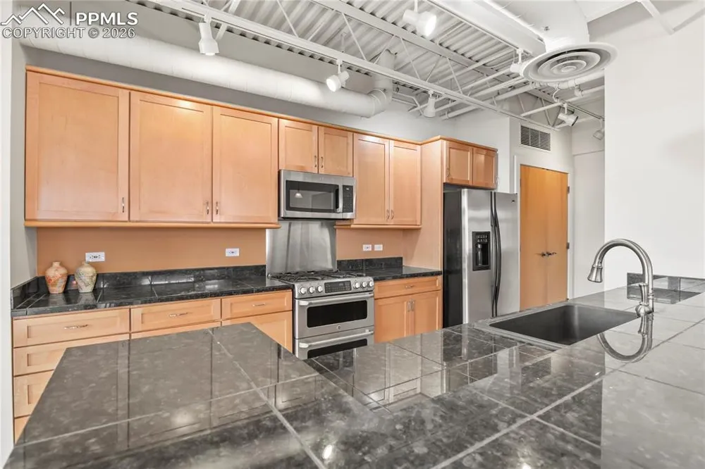 201 E Las Animas Street #313 Colorado Springs, CO 80903