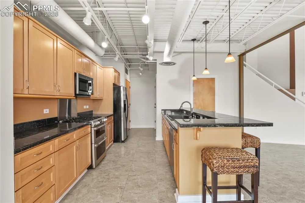 201 E Las Animas Street #313 Colorado Springs, CO 80903