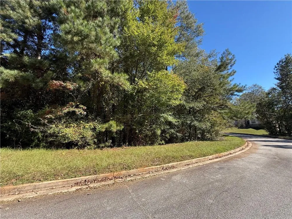 1333 Nickel Oak Bend McDonough, GA 30252