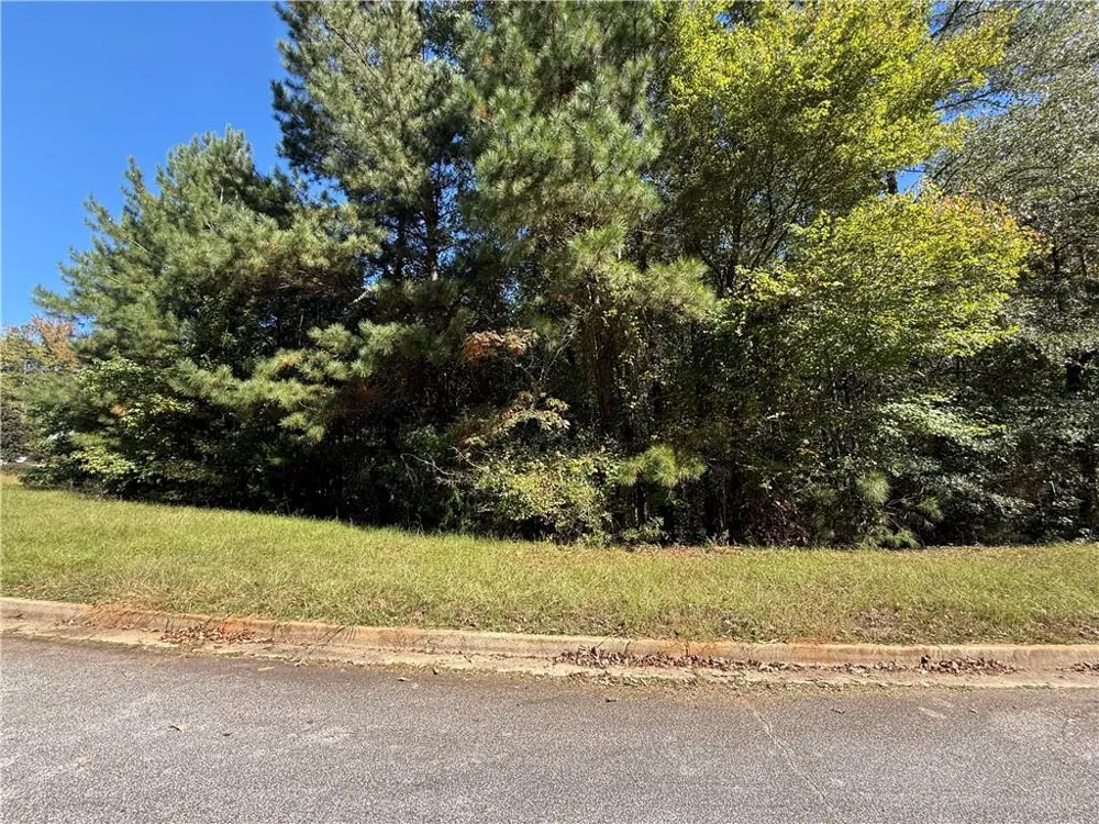 1333 Nickel Oak Bend McDonough, GA 30252