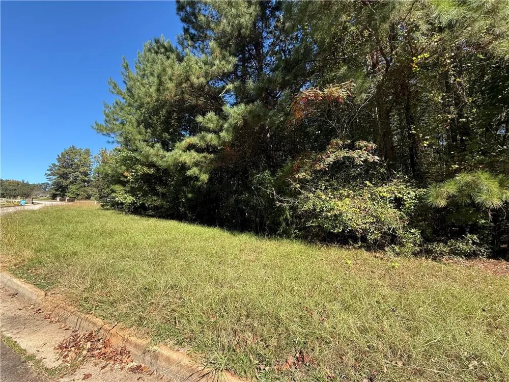 1333 Nickel Oak Bend McDonough, GA 30252