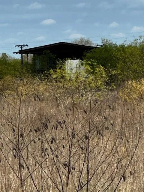 3507 Oil Field Road Bellville, TX 77418