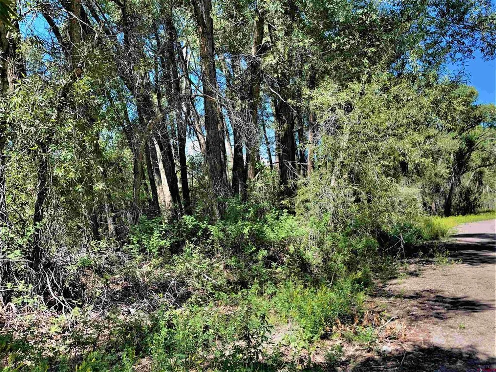 128 Ute Trail South Fork, CO 81154
