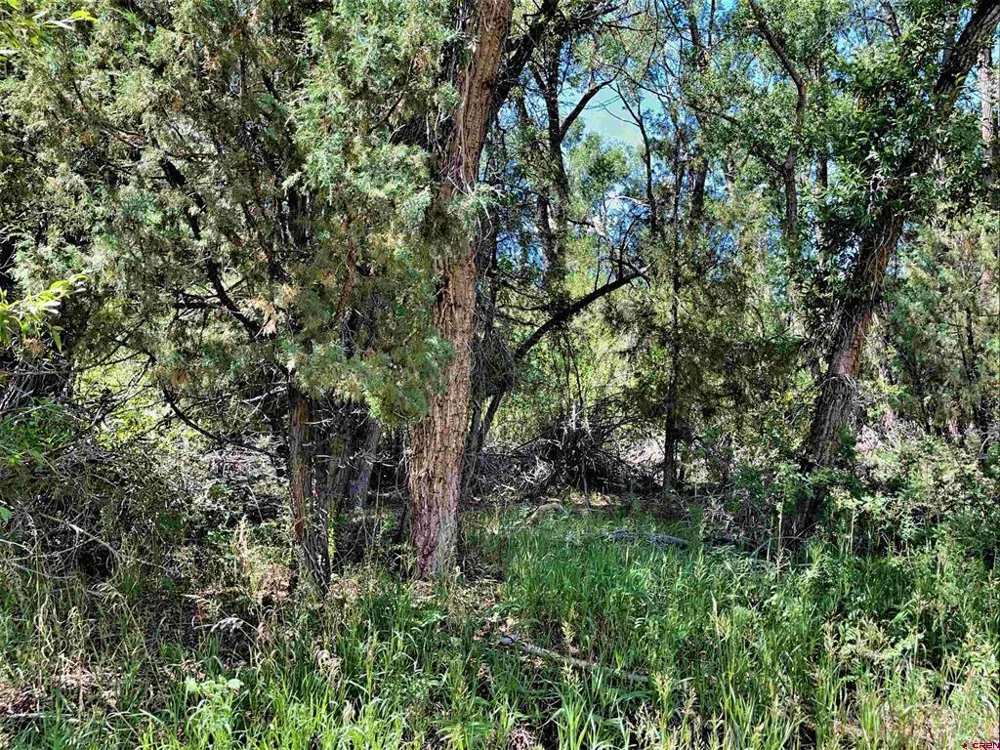 128 Ute Trail South Fork, CO 81154