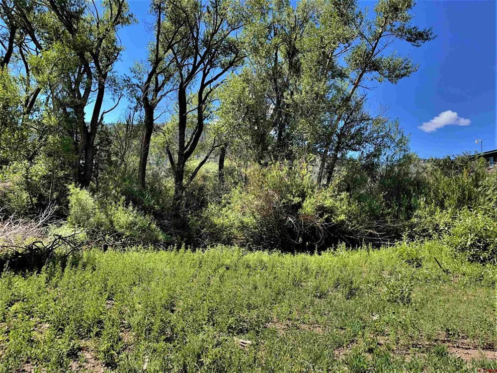 128 Ute Trail South Fork, CO 81154