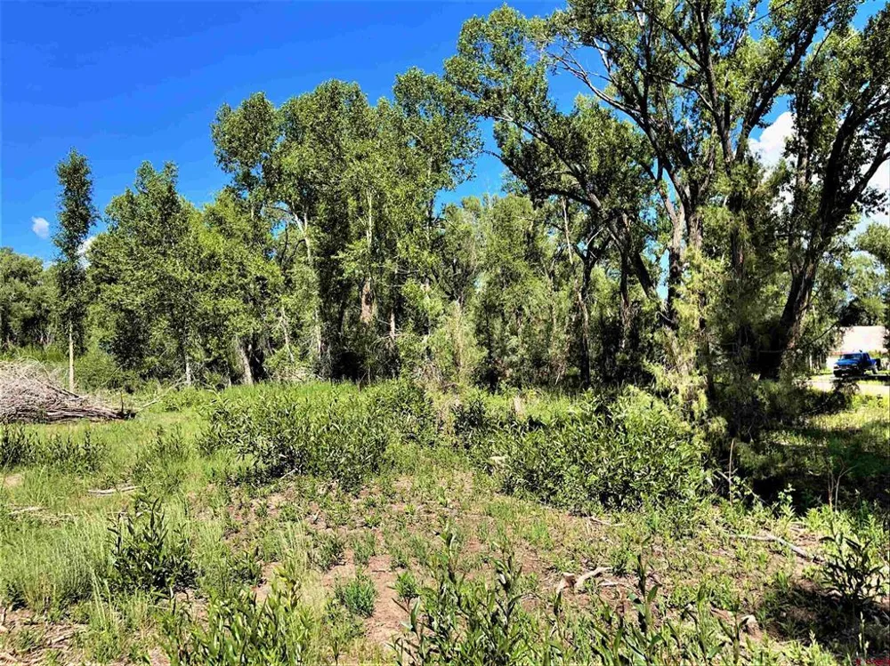 128 Ute Trail South Fork, CO 81154