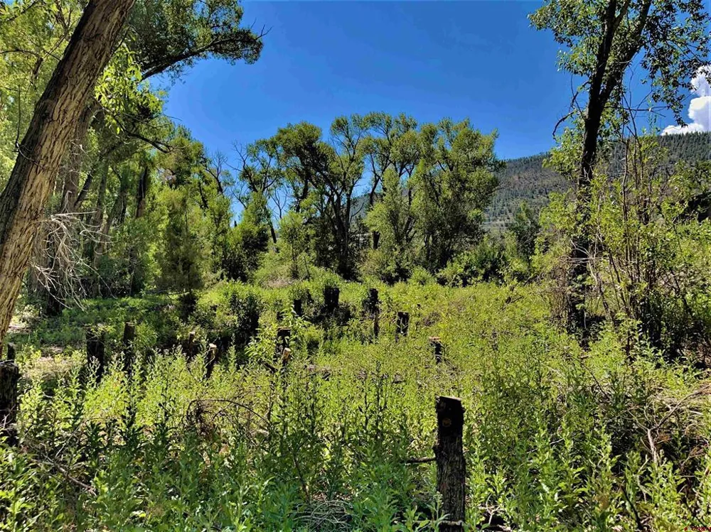 128 Ute Trail South Fork, CO 81154