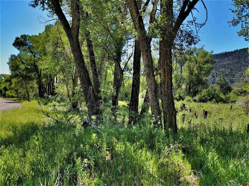 128 Ute Trail South Fork, CO 81154