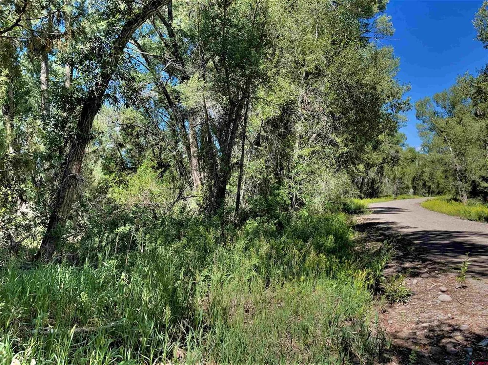 128 Ute Trail South Fork, CO 81154