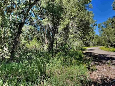 128 Ute Trail