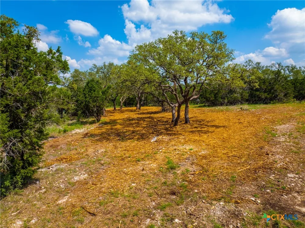 5922 Camp Creek Drive New Braunfels, TX 78132