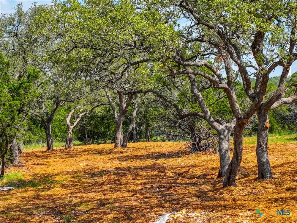 5922 Camp Creek Drive New Braunfels, TX 78132