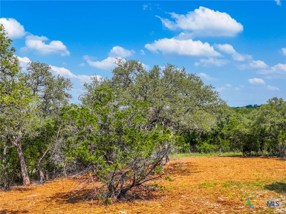 5922 Camp Creek Drive New Braunfels, TX 78132