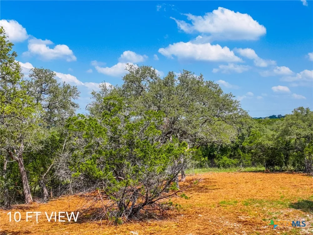 5922 Camp Creek Drive New Braunfels, TX 78132
