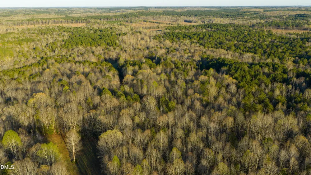 8730 Grassy Creek Road Bullock, NC 27507