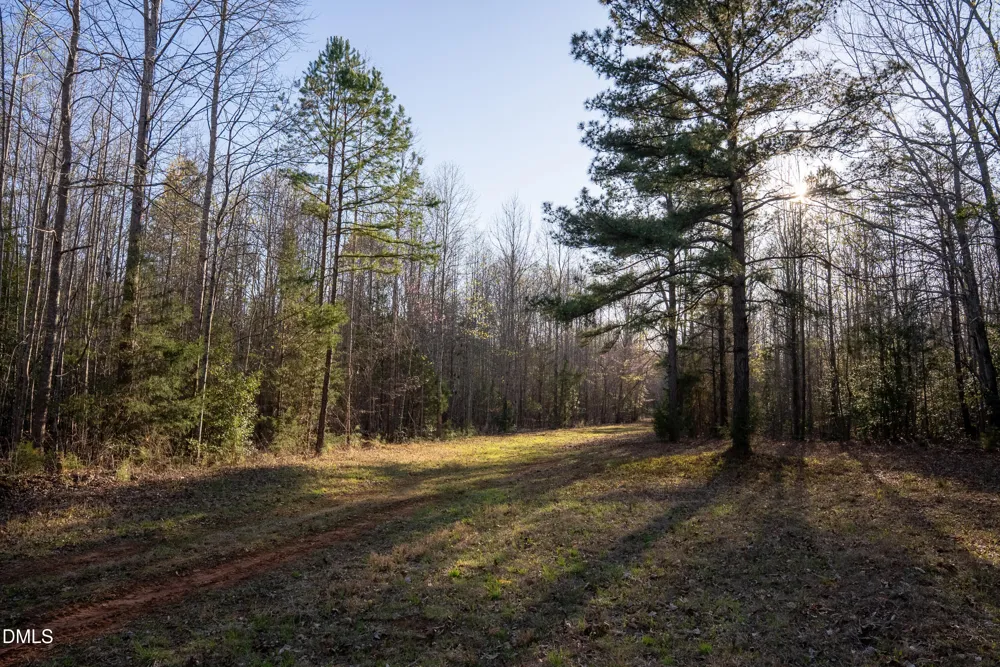 8730 Grassy Creek Road Bullock, NC 27507