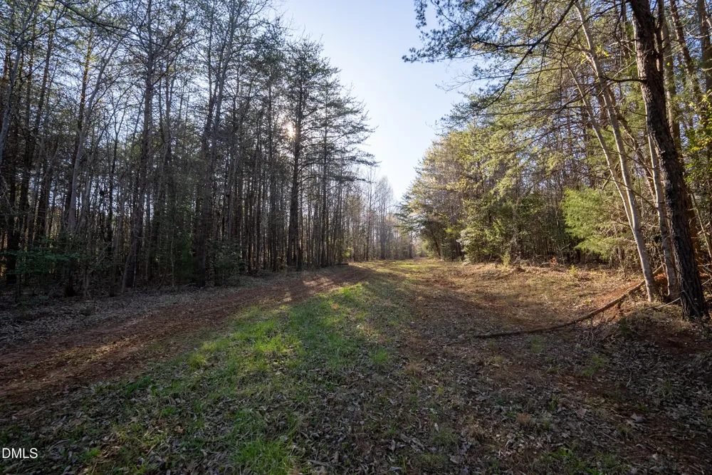 8730 Grassy Creek Road Bullock, NC 27507