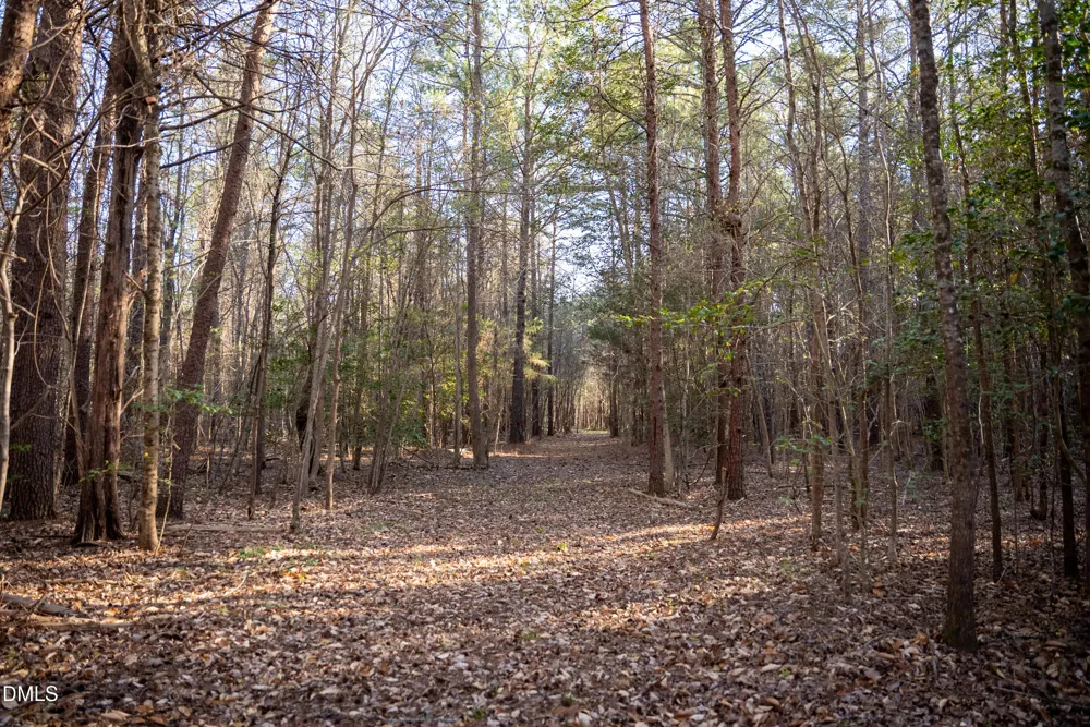 8730 Grassy Creek Road Bullock, NC 27507