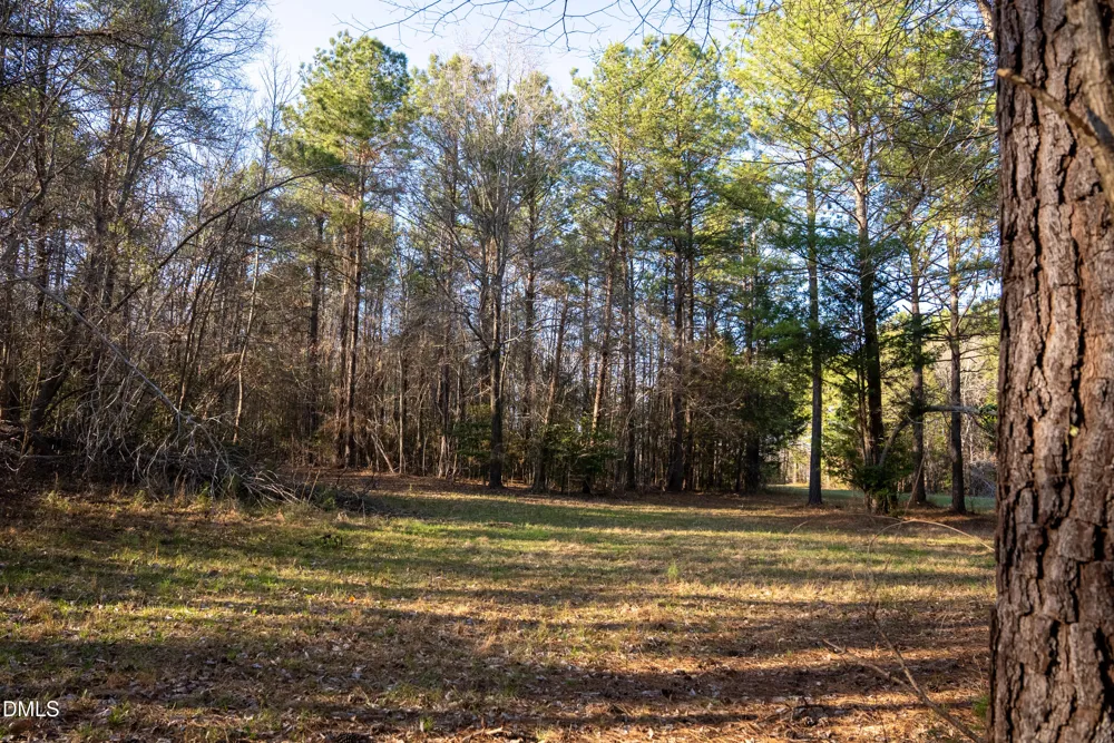 8730 Grassy Creek Road Bullock, NC 27507