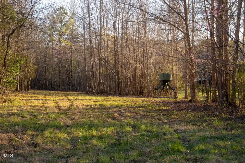 8730 Grassy Creek Road Bullock, NC 27507