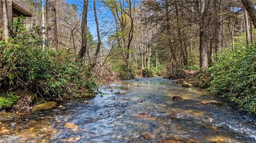 1790 Stanley Creek Road Cherry Log, GA 30522