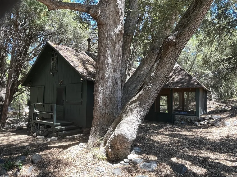 7 Oak Court #78 Angelus Oaks, CA 92305