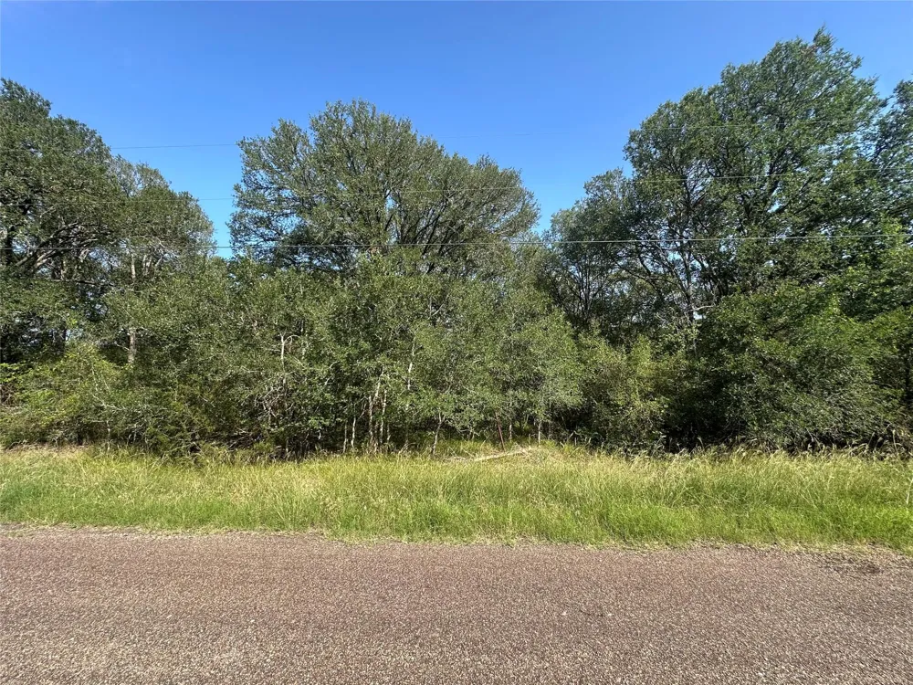 344 Indian Ridge Drive Somerville, TX 77879