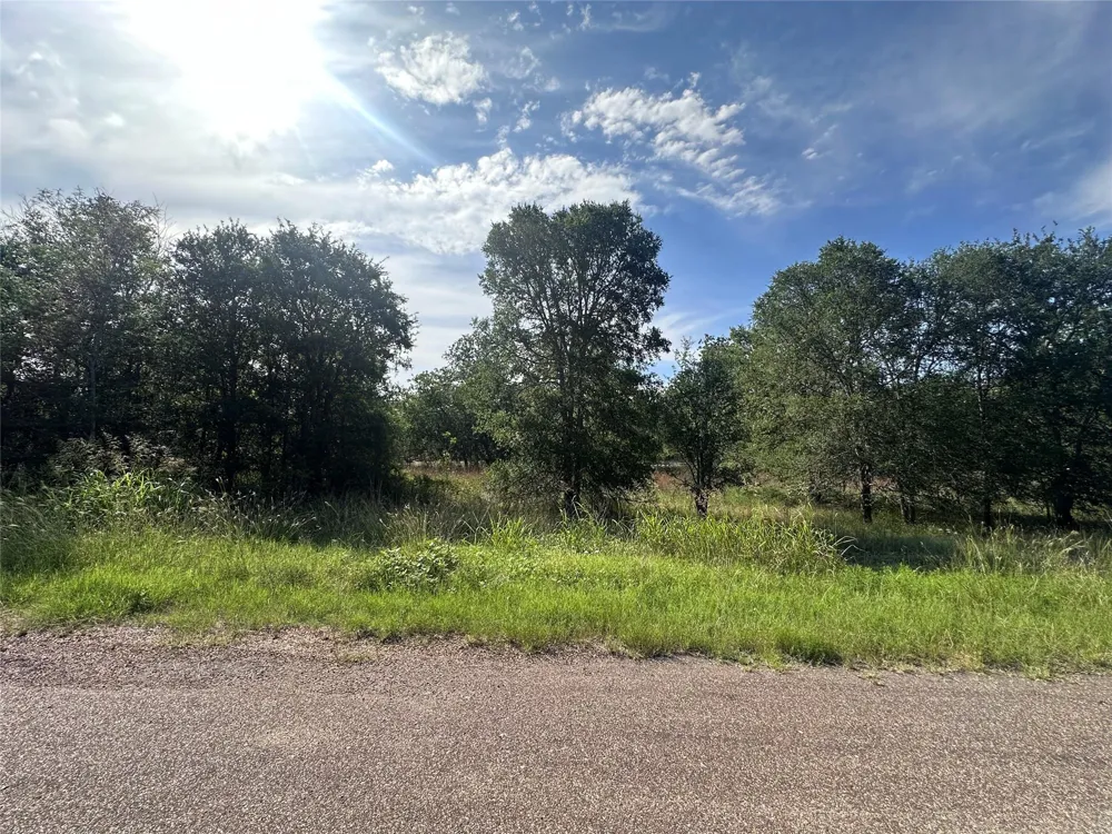 344 Indian Ridge Drive Somerville, TX 77879