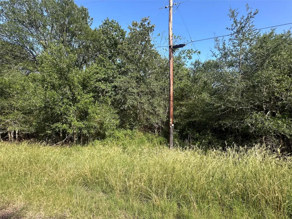 344 Indian Ridge Drive Somerville, TX 77879