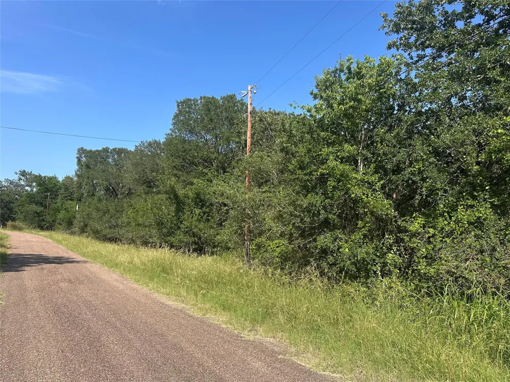 344 Indian Ridge Drive Somerville, TX 77879