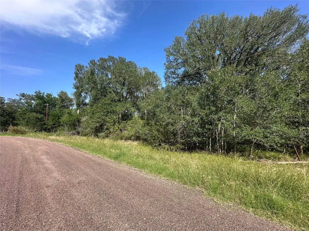 344 Indian Ridge Drive Somerville, TX 77879