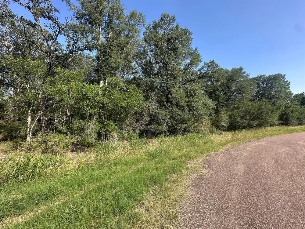 344 Indian Ridge Drive Somerville, TX 77879
