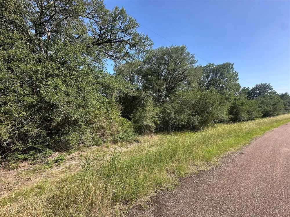 344 Indian Ridge Drive Somerville, TX 77879