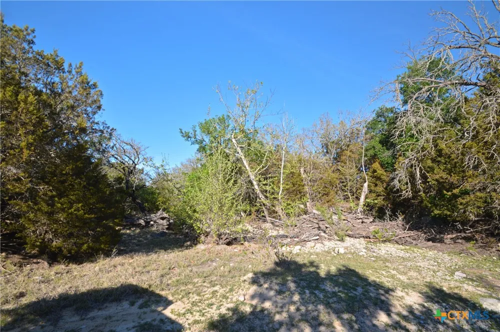 FM 581 Lometa, TX 76853