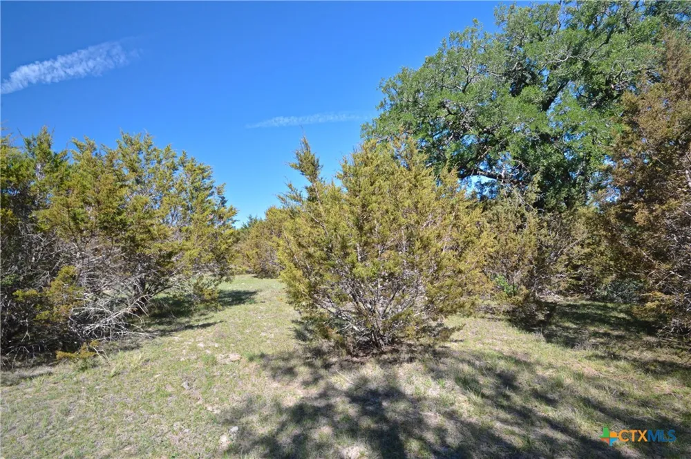 FM 581 Lometa, TX 76853