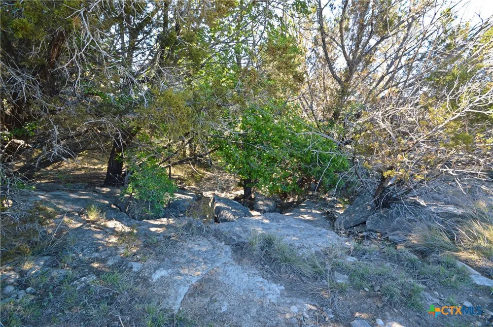 FM 581 Lometa, TX 76853