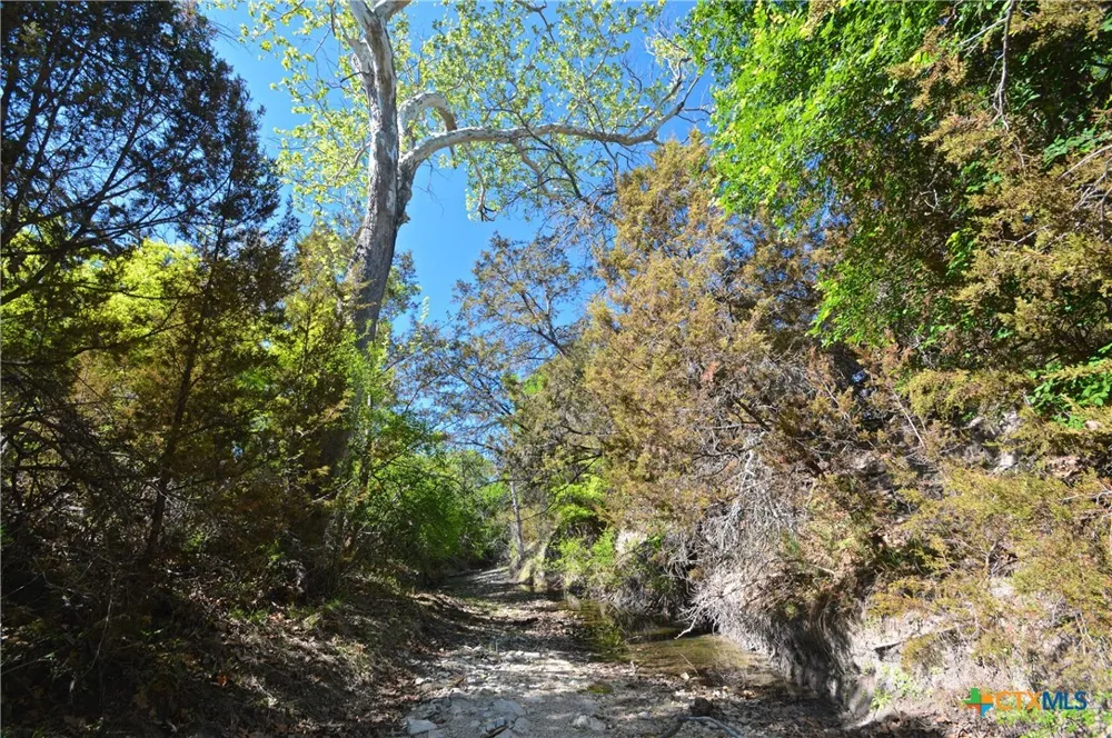FM 581 Lometa, TX 76853