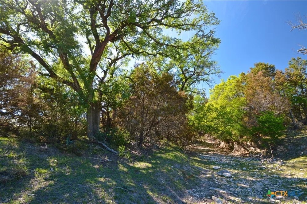 FM 581 Lometa, TX 76853
