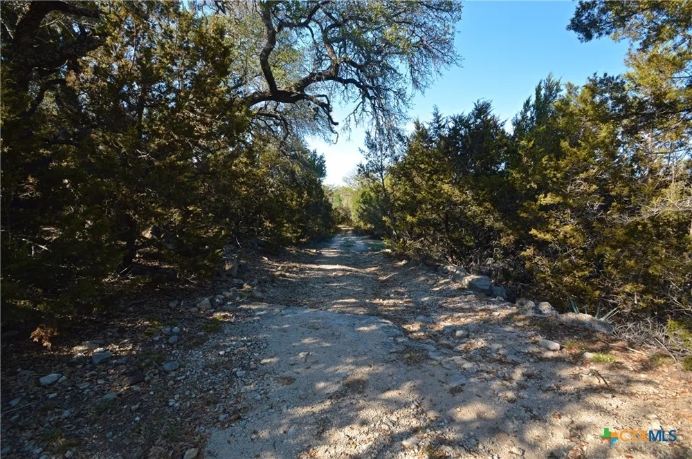 FM 581 Lometa, TX 76853
