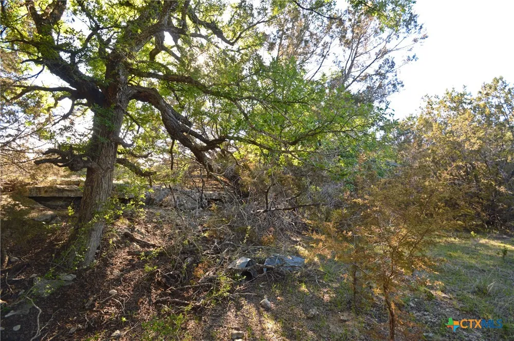 FM 581 Lometa, TX 76853