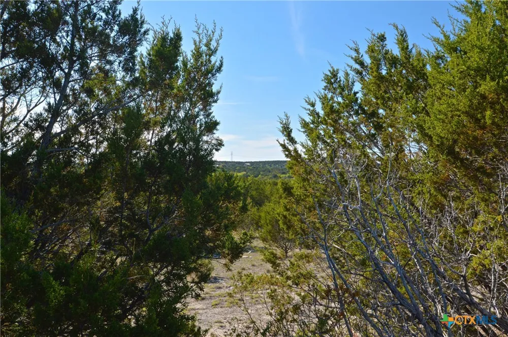 FM 581 Lometa, TX 76853