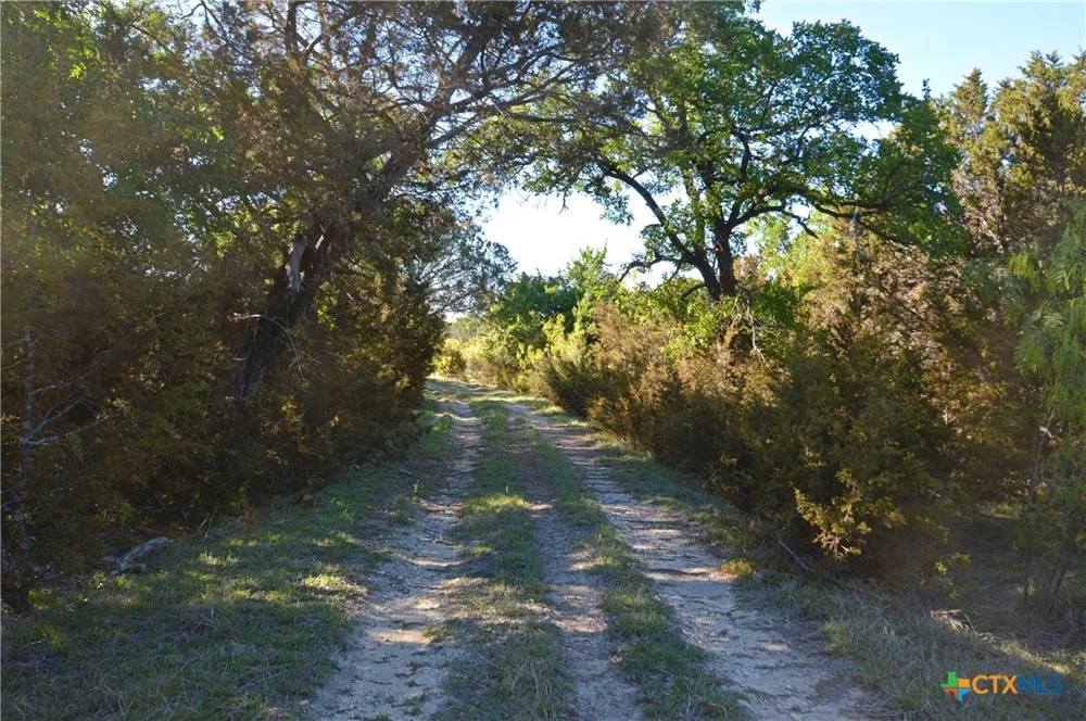 FM 581 Lometa, TX 76853