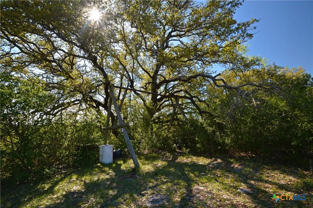 FM 581 Lometa, TX 76853