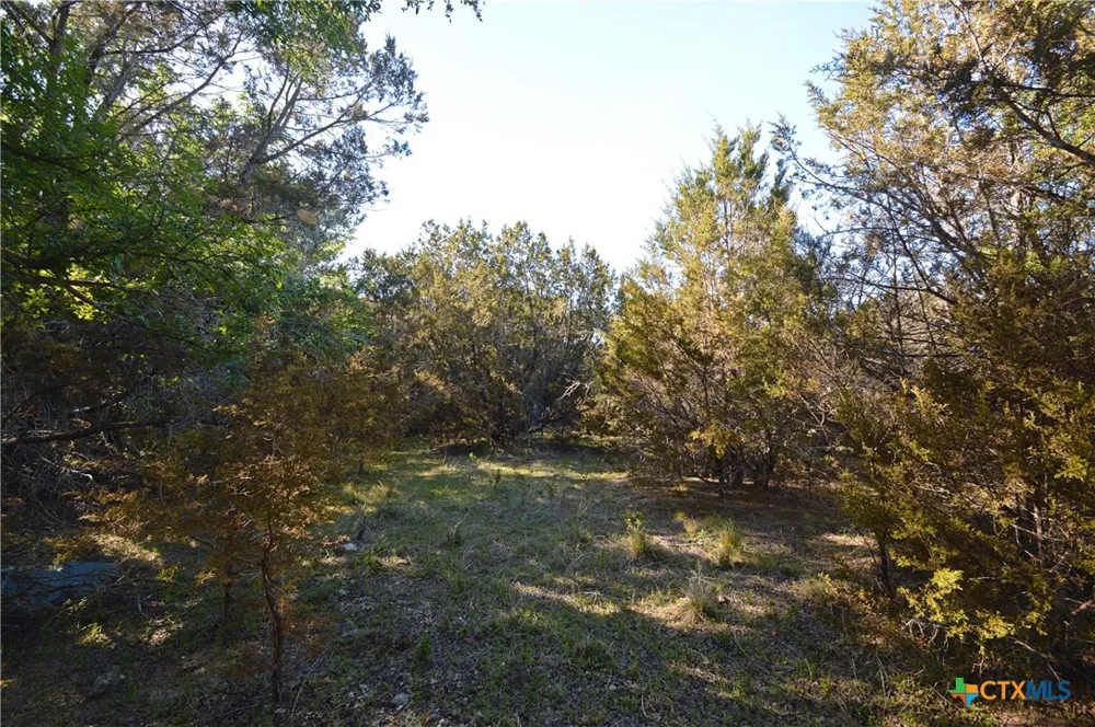 FM 581 Lometa, TX 76853