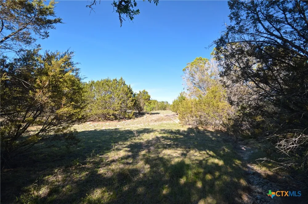 FM 581 Lometa, TX 76853