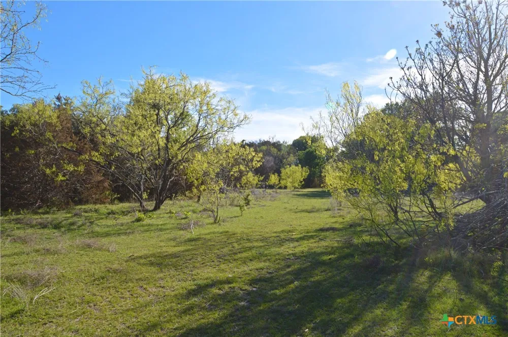 FM 581 Lometa, TX 76853