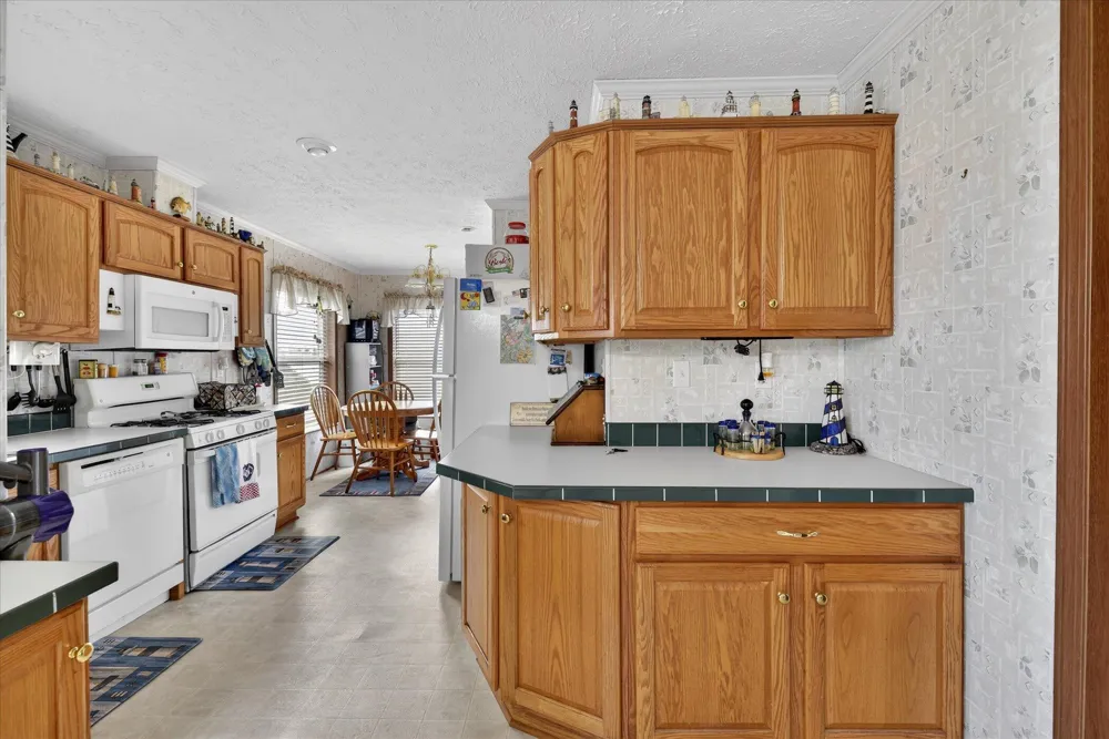 14620 E Merry Drive Amboy Township, MI 49232